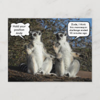 Mannequin Challenged Lemurs