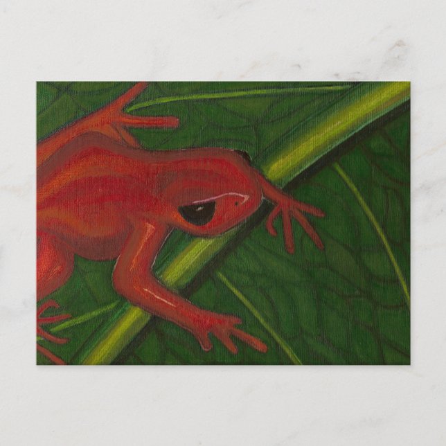 Postal Manny The Mantella (Rana) (Anverso)