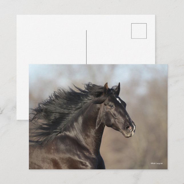 Postal Mano andaluza negra en la cabeza (Anverso / Reverso)