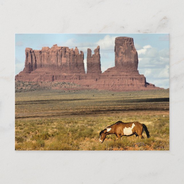 Postal Mano de caballo, Valle del Monumento, UT