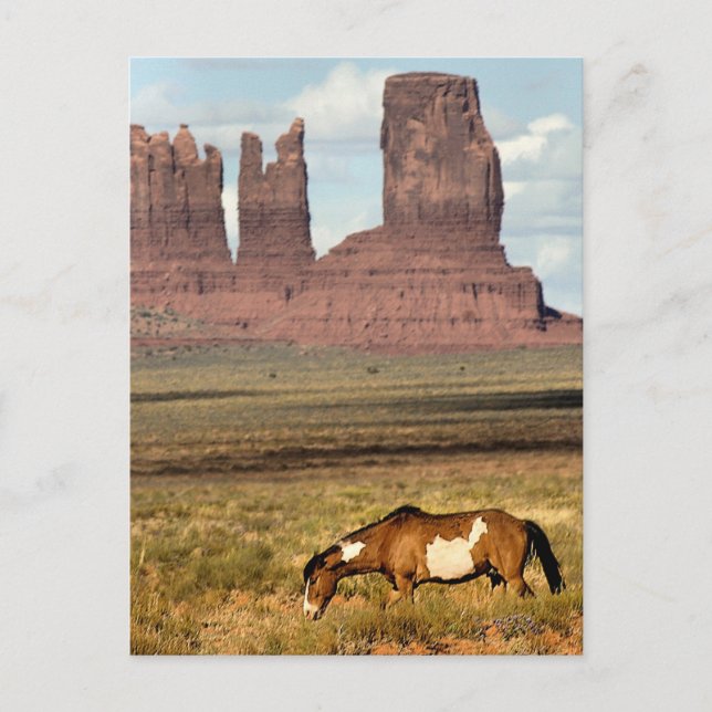Postal Mano de caballo, Valle del Monumento, UT (Anverso)