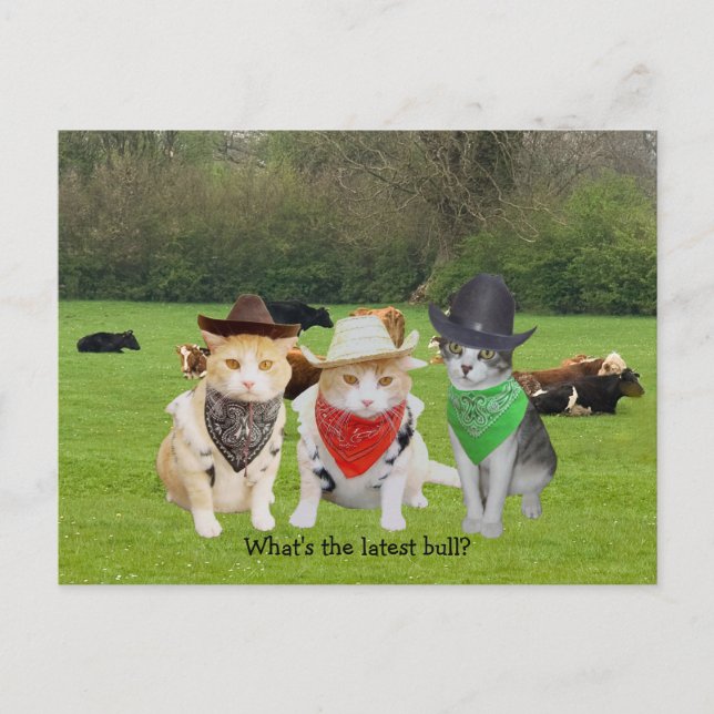 Postal Mano de rancho - Gatos de trabajo (Anverso)