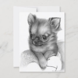 Postal Mano Pintada Chihuahua Cuppy - Gente Gentil