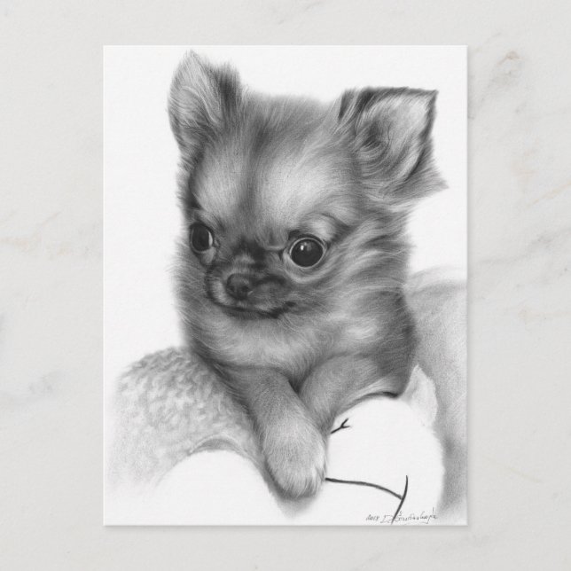 Postal Mano Pintada Chihuahua Cuppy - Gente Gentil (Anverso)