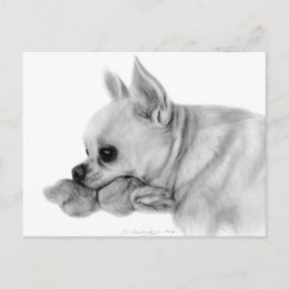 Postal Mano Pintó Chihuahua Bela Con Juguete Favorito