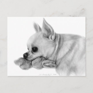 Postal Mano Pintó Chihuahua Bela Con Juguete Favorito