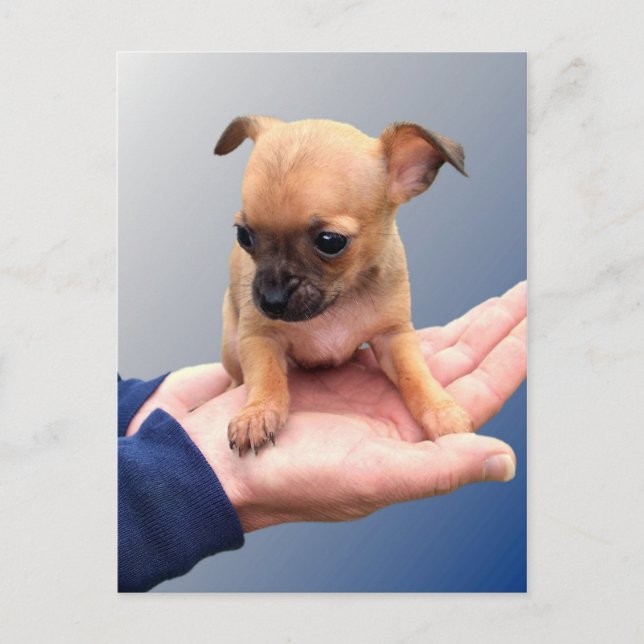 Postal Manos amorosas (Anverso)