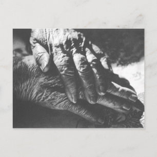 Postal Manos de la abuela