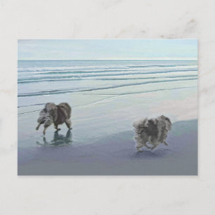 Postal Manos en la pintura de perro en la costa