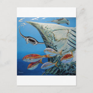 Postal manta rays