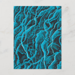 Postal Manta Rays Ocean Fish Animals Waves Blue Black Art