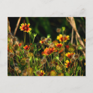 Postal Mantas indias