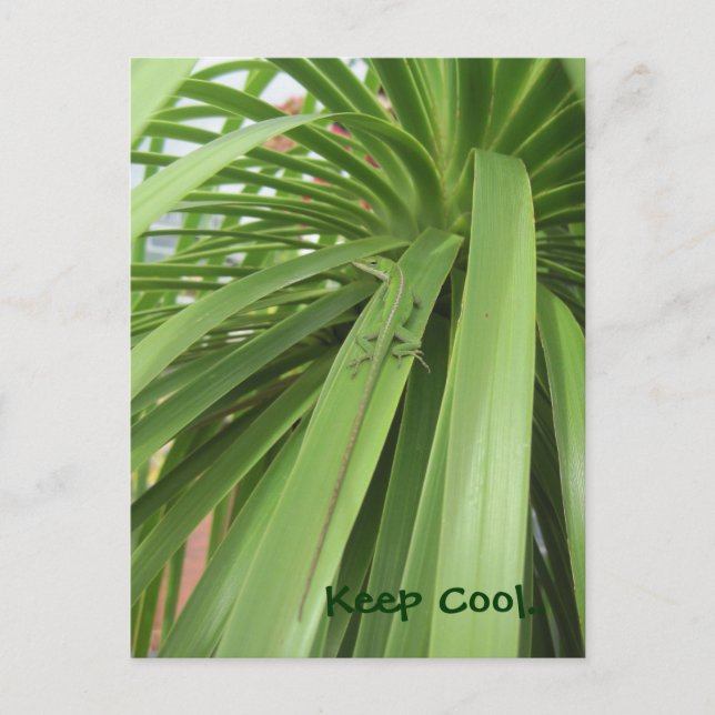 Postal Mantén Guay. (Anverso)