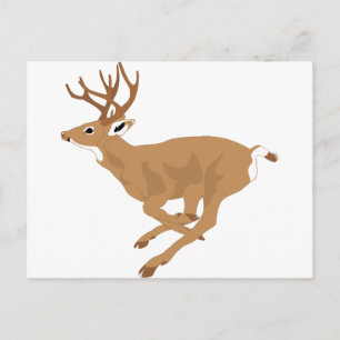 Postal Mantén la calma Caza de venado Cuerno de venado Ca