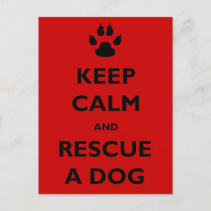 Postal Mantener el rescate del perro tranquilo