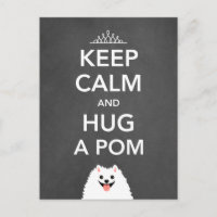 Mantener la calma y abrazar un pom - Pomerania