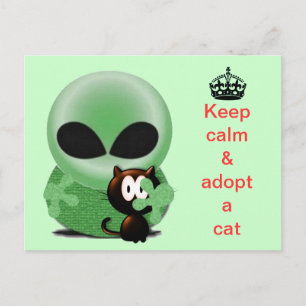 Postal Mantener la calma y adoptar un gato