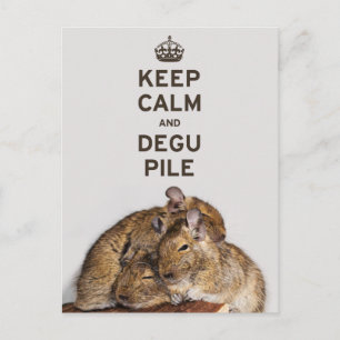 Postal Mantener la calma y la imagen de Degu