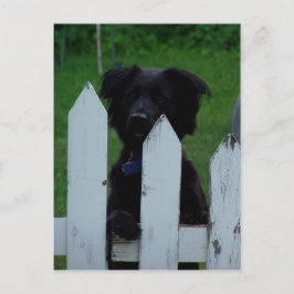 Postal mantener un ojo fuera