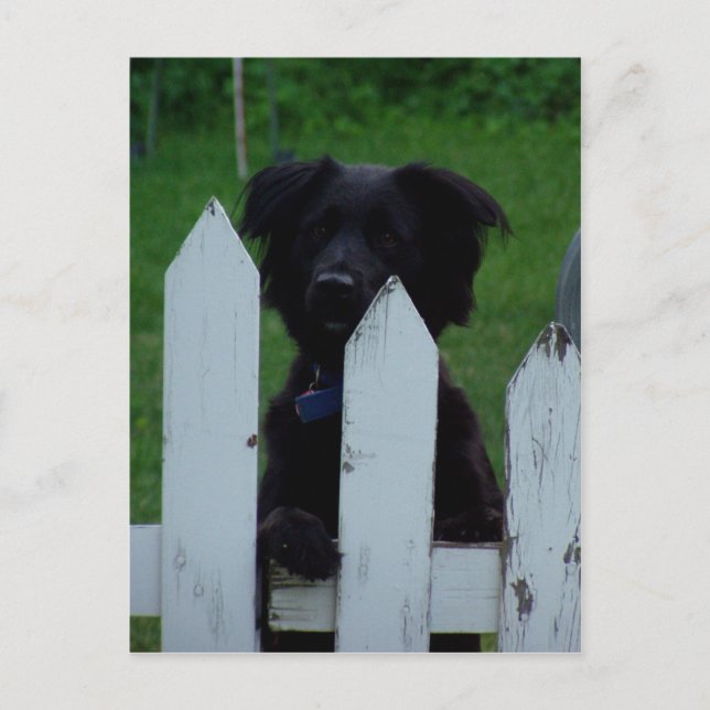 Postal mantener un ojo fuera (Anverso)