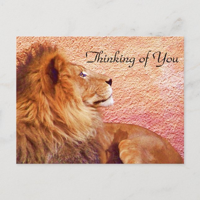 Postal Mantenerse centrado_ (Anverso)