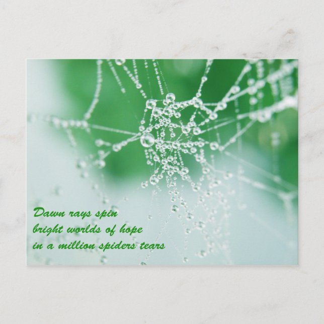 Postal Mantengan sus esperanzas (Anverso)