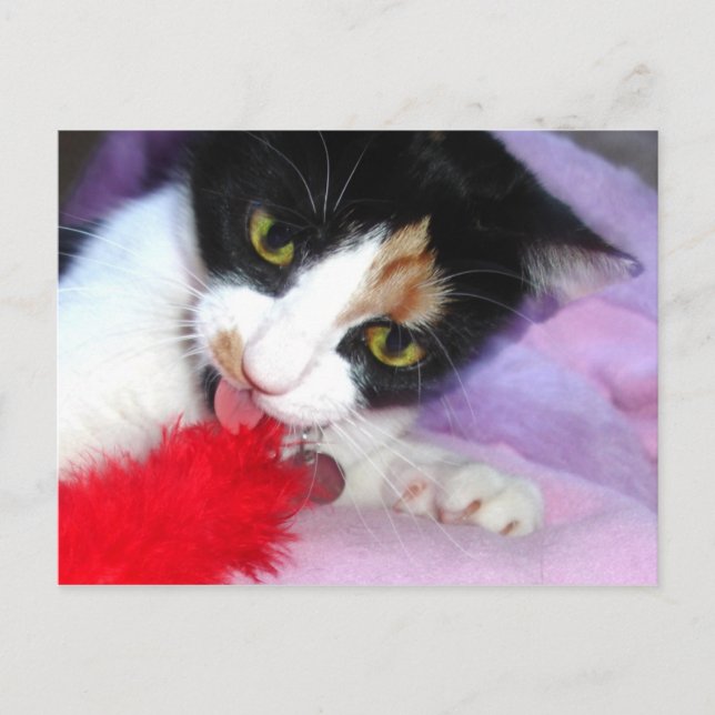 Postal ¡Mantenlo limpio! (Anverso)