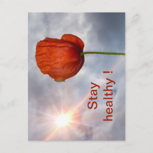 Postal Mantente saludable con flor roja