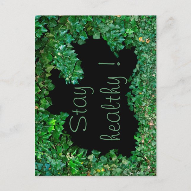 Postal Mantente saludable con marfil verde (Anverso)