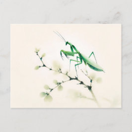 Postal Mantis de tinta china en Ginkgo