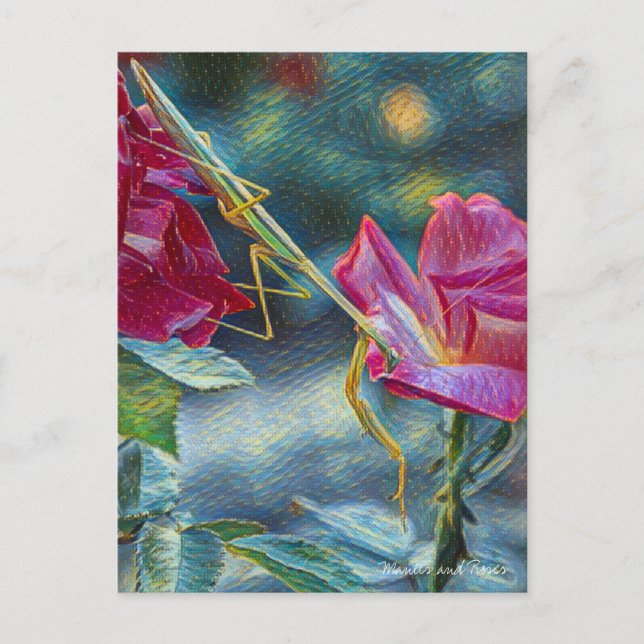 Postal Mantis：Postcard (Anverso)