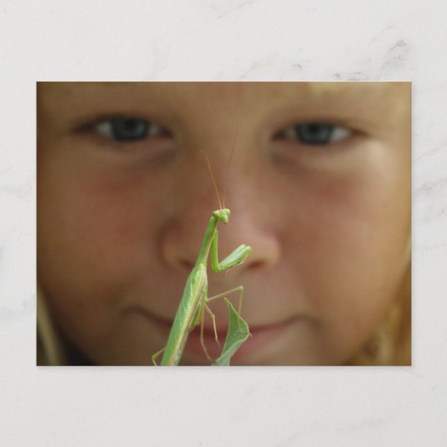 Postal Mantis religiosa (Anverso)