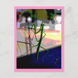 Postal Mantis religiosa