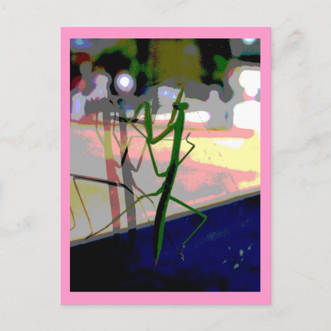 Postal Mantis religiosa (Anverso)