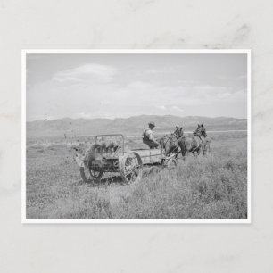 Postal Manure Spreader