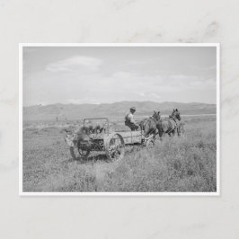 Postal Manure Spreader