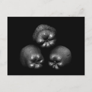 Postal Manzanas - Bella Artes Clásico Elegante Diversión