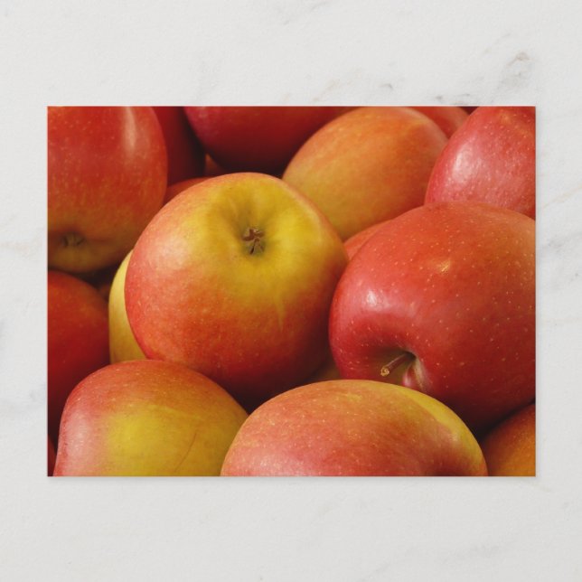 Postal Manzanas de fruta Colores otoñales Destino (Anverso)