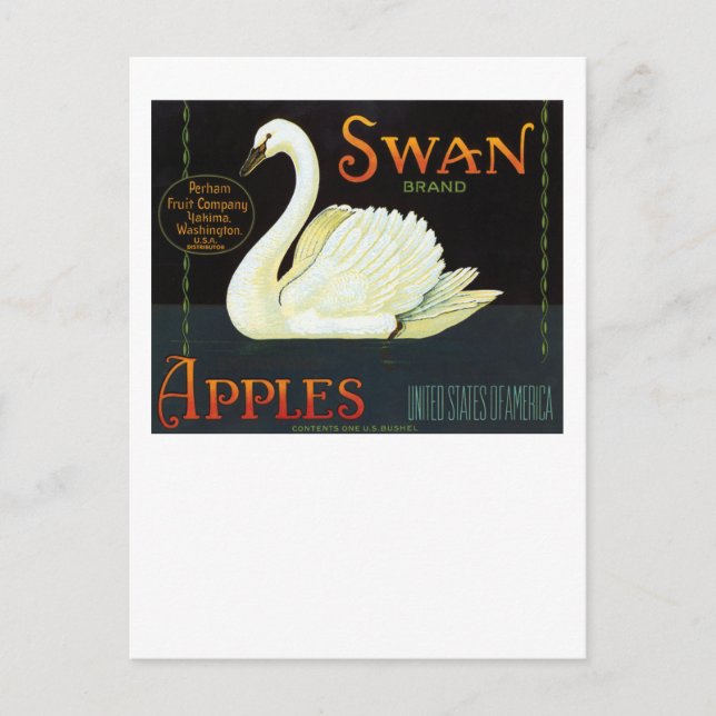 Postal Manzanas de marca de Swan (Anverso)