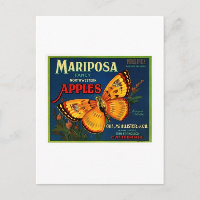 Postal Manzanas de mariposa (Anverso)