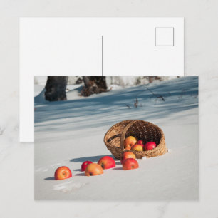 Postal Manzanas en la nieve