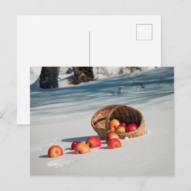 Postal Manzanas en la nieve (Anverso / Reverso)