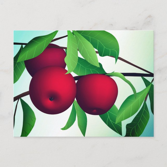 Postal "Manzanas en una rama" (Anverso)