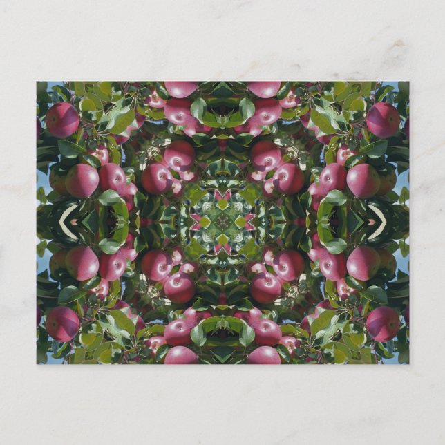Postal Manzanas rojas en el arte Postcar del (Anverso)
