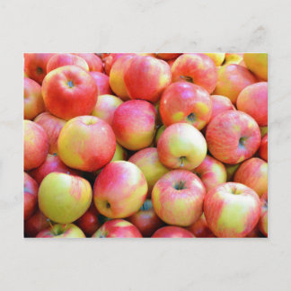 Postal Manzanas rojas y amarillas frescas