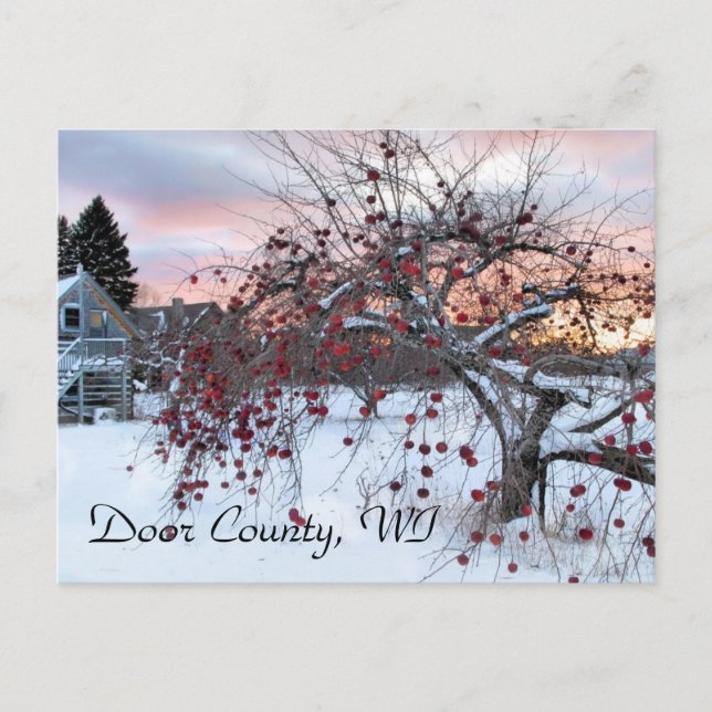 Postal Manzano (Anverso)