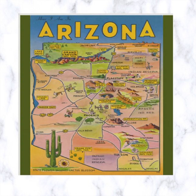 Postal Mapa de Arizona y Cactus vintage (Subido por el creador)