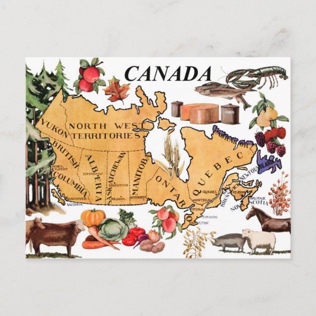 Postal Mapa de Canadá y varios productos representativos (Anverso)