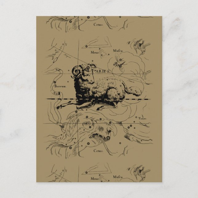 Postal Mapa de constelación de Aries Hevelius 1690 (Anverso)