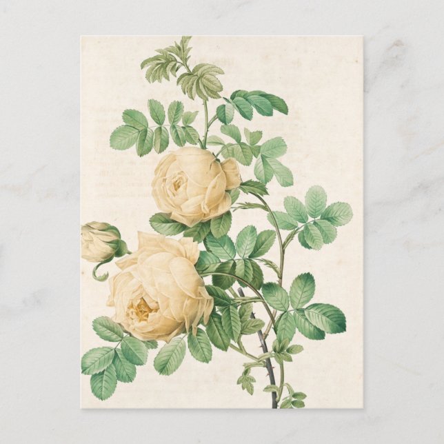 Postal Mapa de cosecha (Anverso)